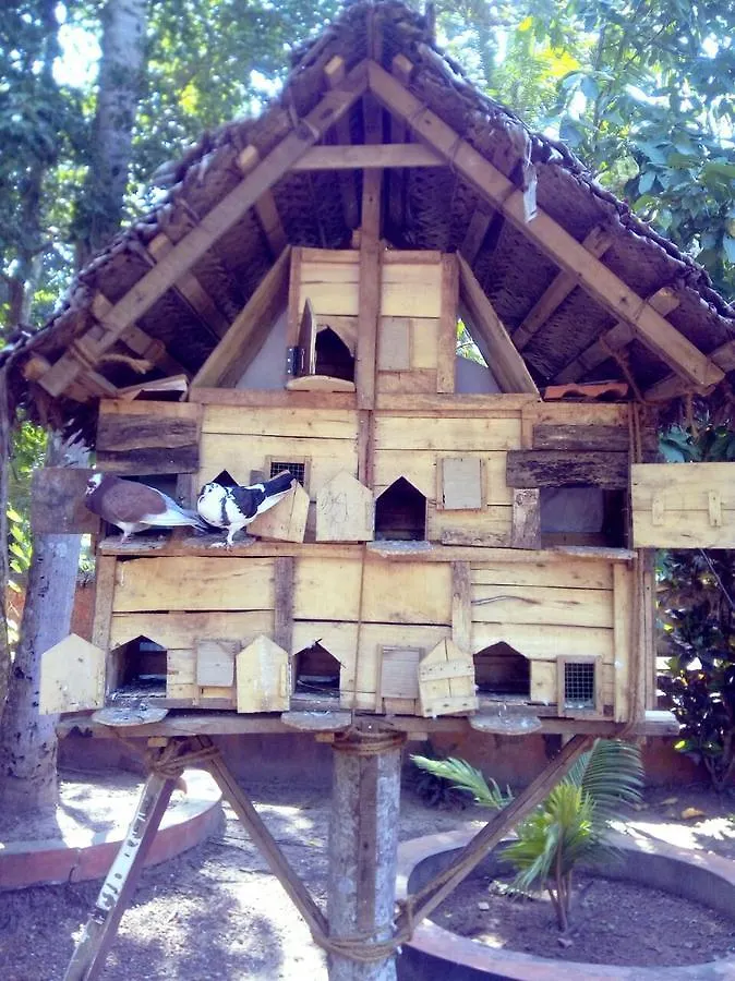 Nalukettu Heritage Resort Varkala
